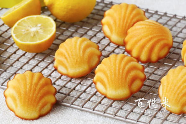 這也太好看了！快收藏這個(gè)美麗的“貝殼”！